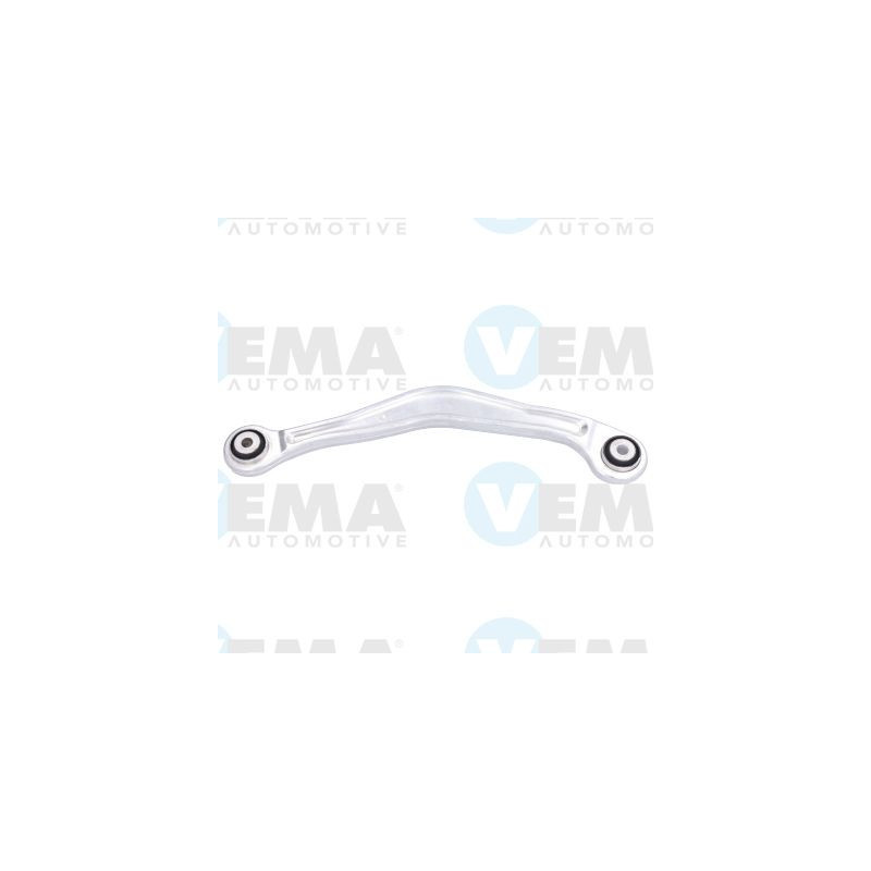 Braccio oscillante asse posteriore - VEMA