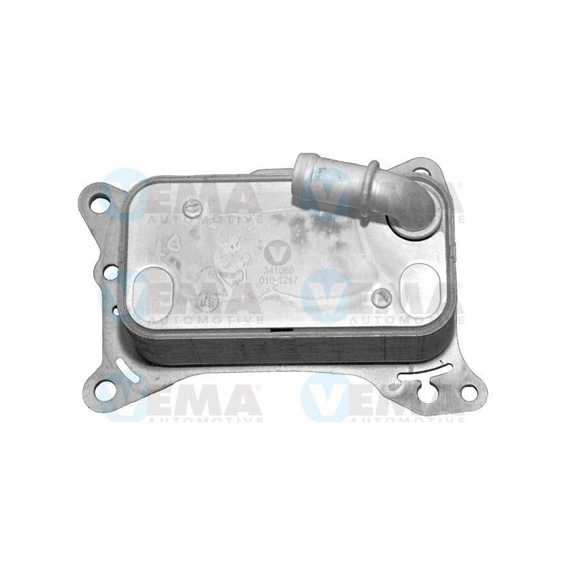 Radiatore olio motore - VEMA