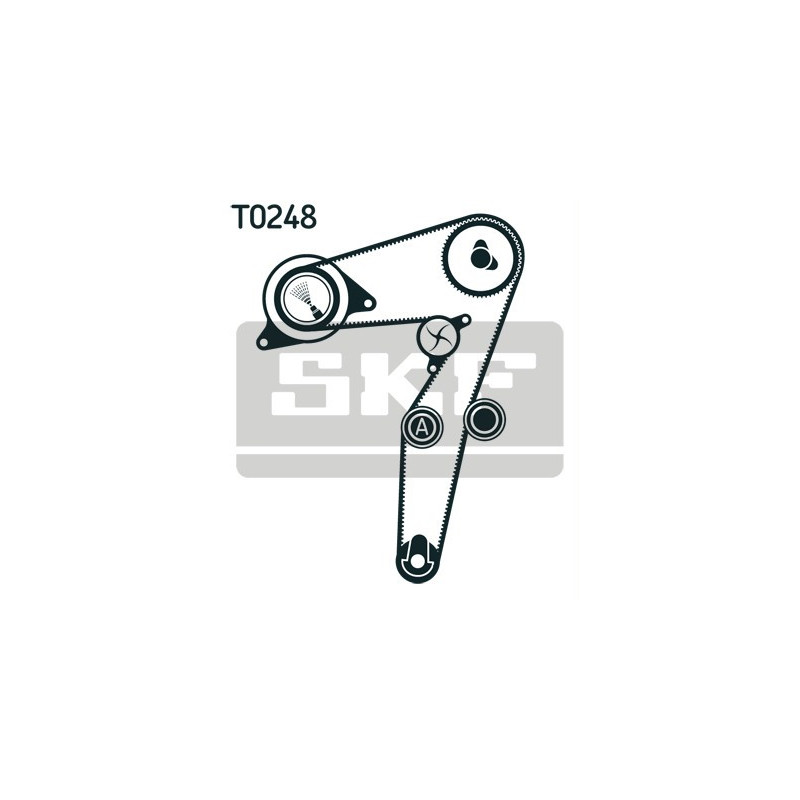 Kit distribuzione - SKF