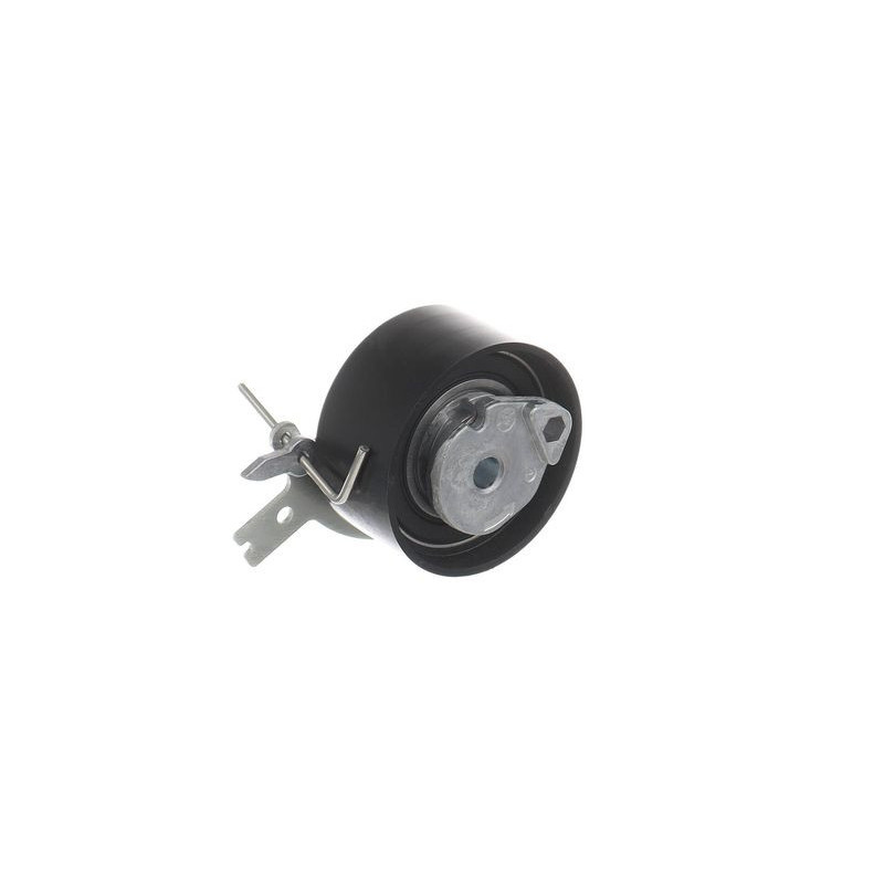 Tendicinghia distribuzione - SKF