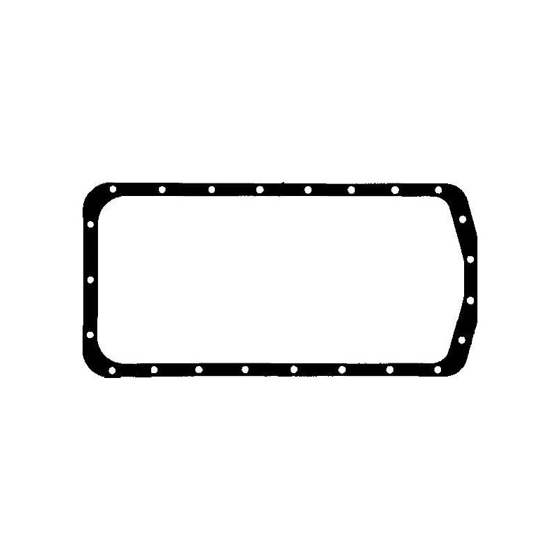 Tendicinghia trapezoidale - PAYEN
