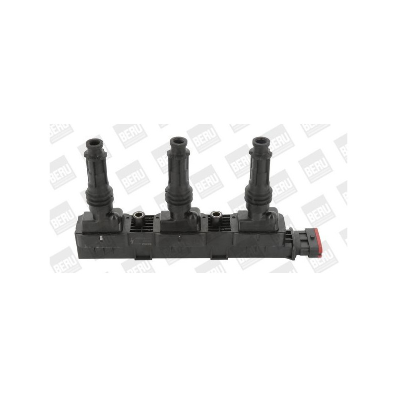 Bobina accensione - BORG WARNER