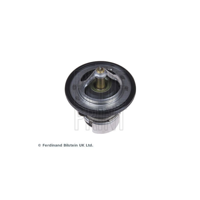 Termostato raffreddamento - BLUE PRINT