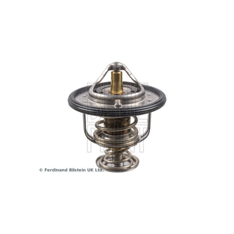 Termostato raffreddamento - BLUE PRINT