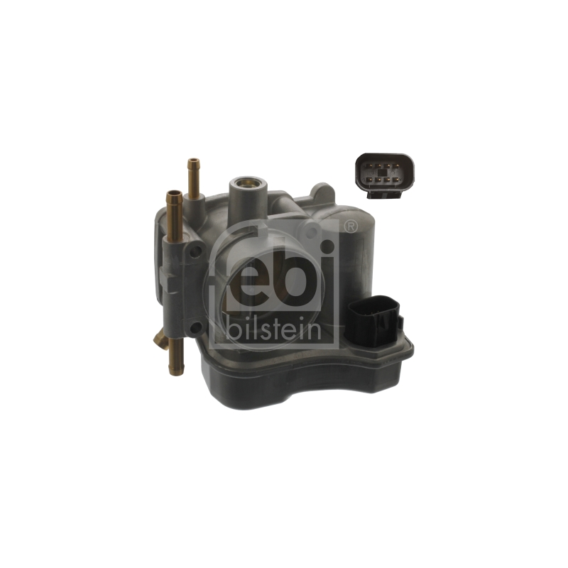 Corpo farfallato - FEBI