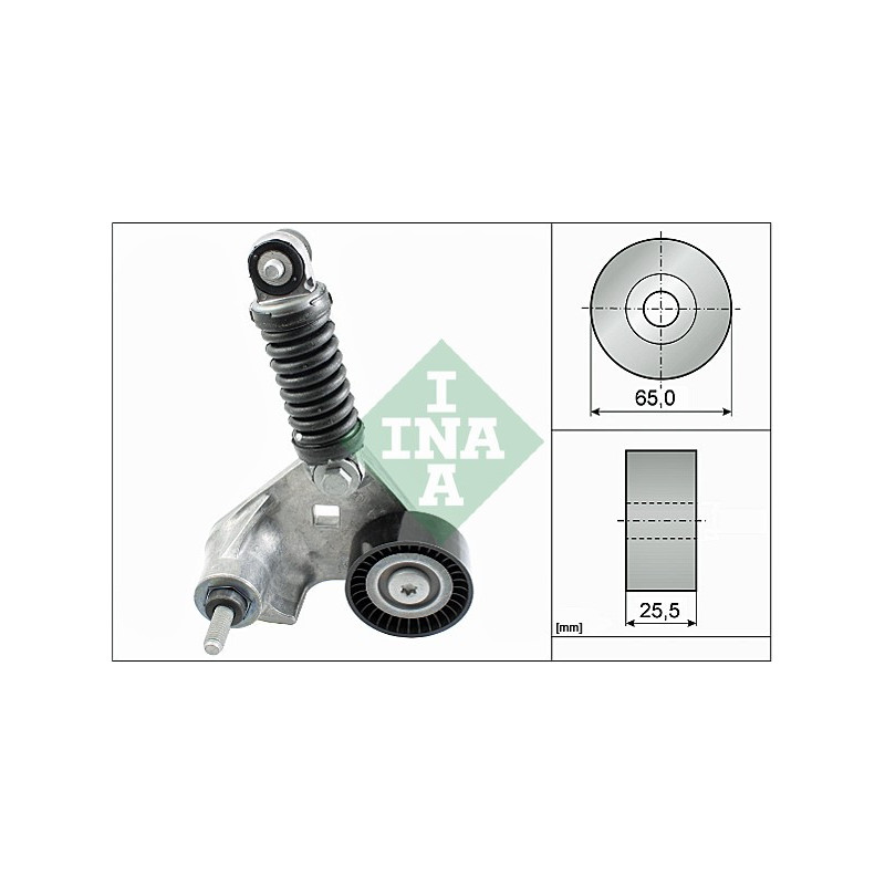 Tendicinghia trapezoidale - INA