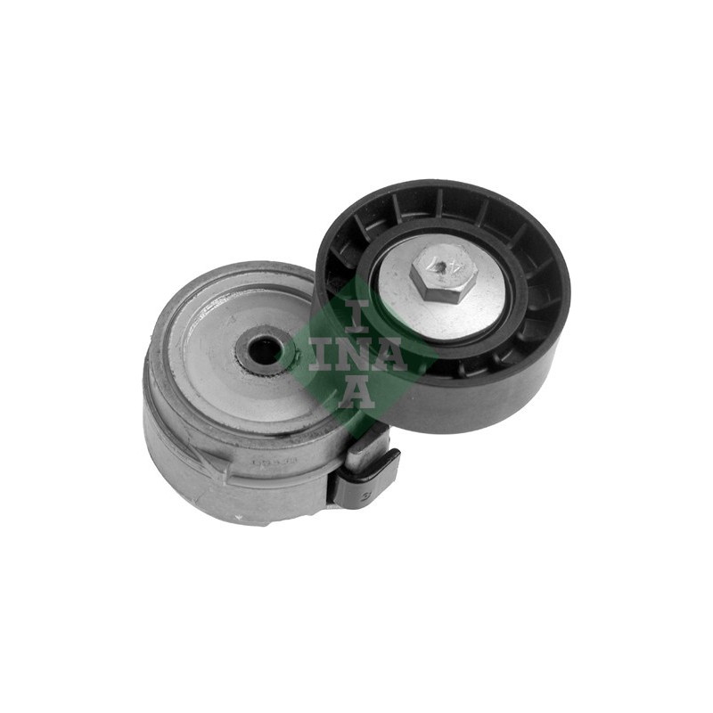 Tendicinghia trapezoidale - INA