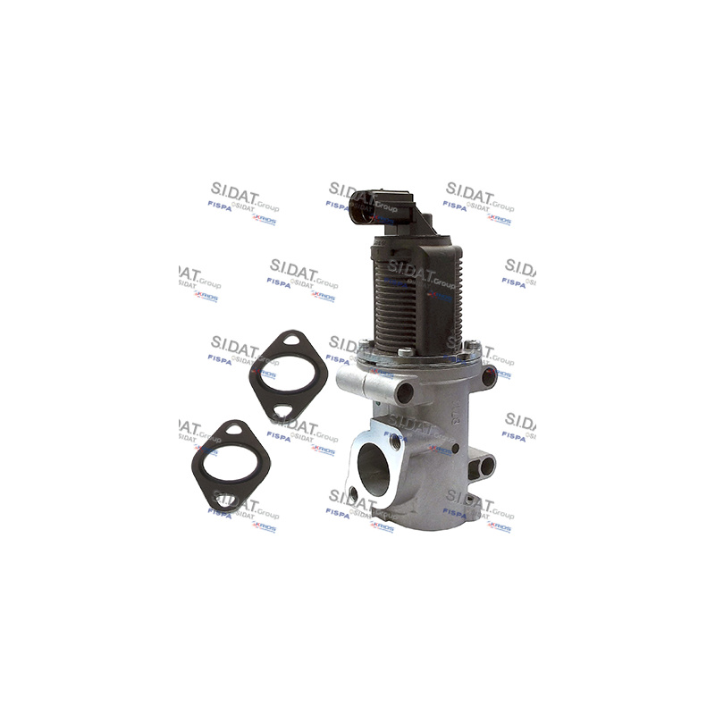 Valvola EGR - SIDAT