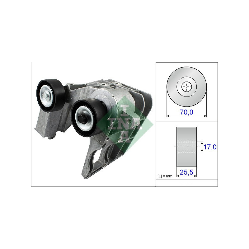 Tendicinghia trapezoidale - INA
