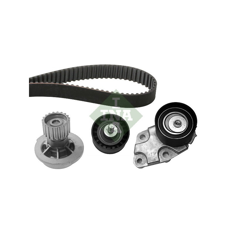 Cinghia/catena distribuzione - INA