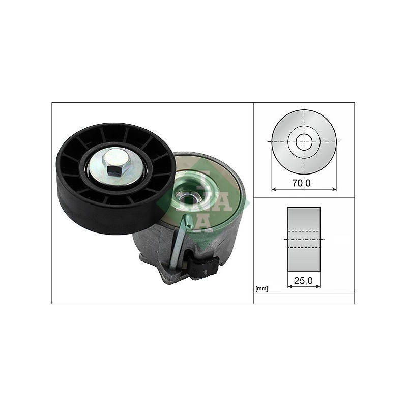 Tendicinghia trapezoidale - INA