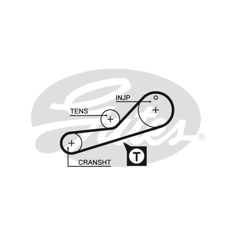 Cinghia/catena distribuzione - GATES