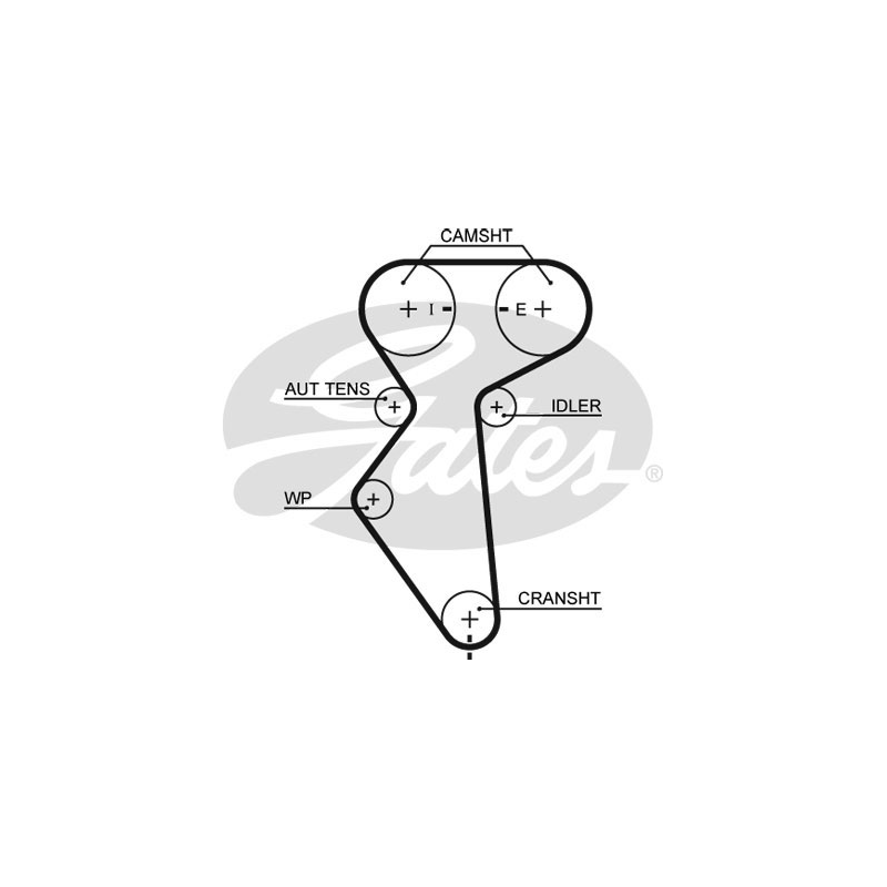 Kit distribuzione - GATES