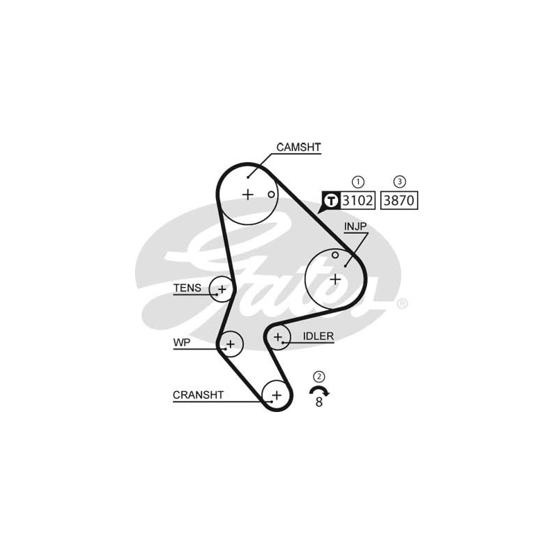 Cinghia/catena distribuzione - GATES