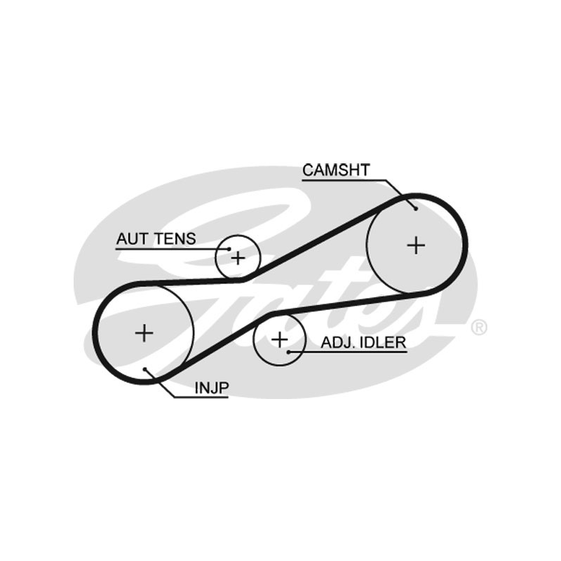 Cinghia/catena distribuzione - GATES