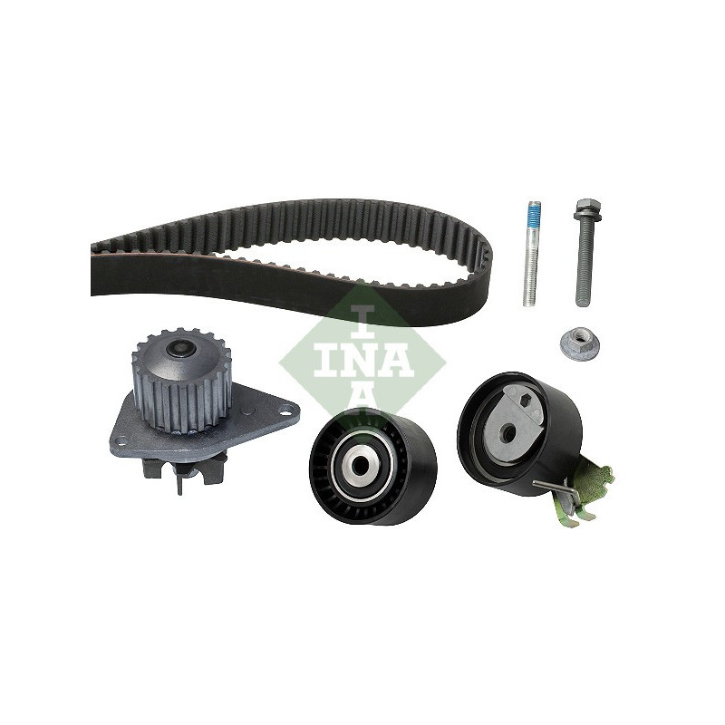 Tendicinghia trapezoidale - INA