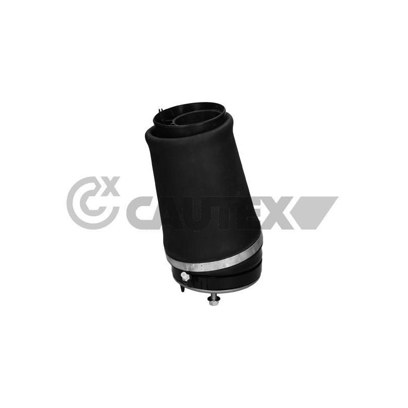 Ammortizzatore asse anteriore - CAUTEX GOMMA E PARTI MOTORE