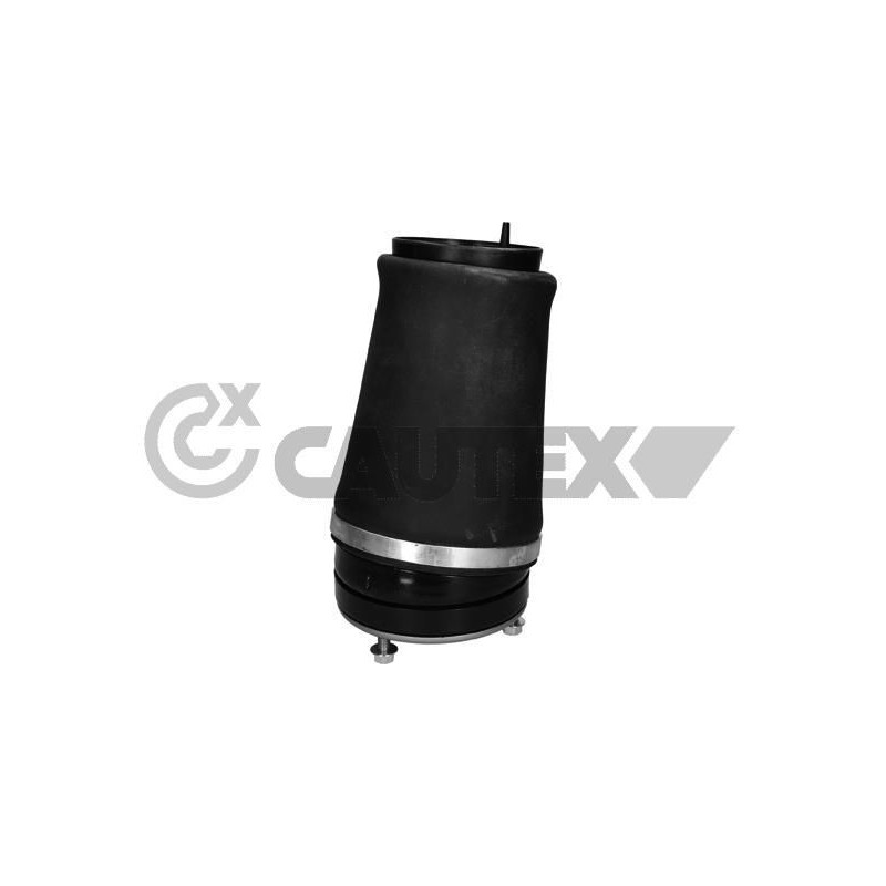 Ammortizzatore asse anteriore - CAUTEX GOMMA E PARTI MOTORE