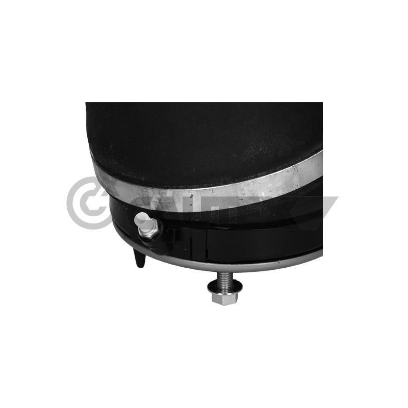 Ammortizzatore asse anteriore - CAUTEX GOMMA E PARTI MOTORE