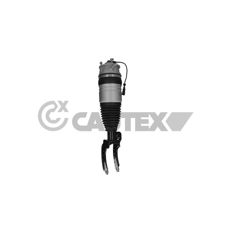 Ammortizzatore asse anteriore - CAUTEX GOMMA E PARTI MOTORE