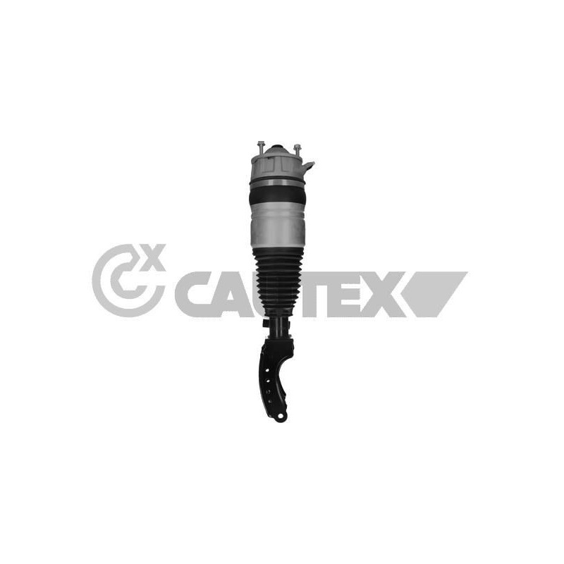 Ammortizzatore asse anteriore - CAUTEX GOMMA E PARTI MOTORE