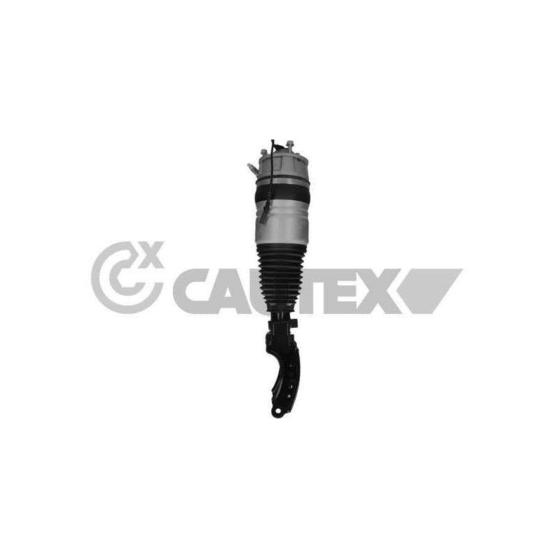 Ammortizzatore asse anteriore - CAUTEX GOMMA E PARTI MOTORE