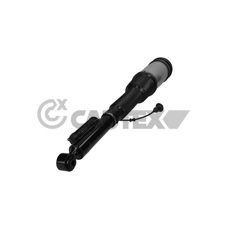 Ammortizzatore asse posteriore - CAUTEX GOMMA E PARTI MOTORE