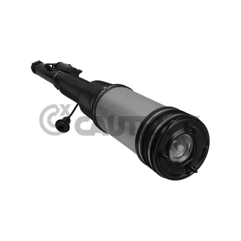 Ammortizzatore asse posteriore - CAUTEX GOMMA E PARTI MOTORE