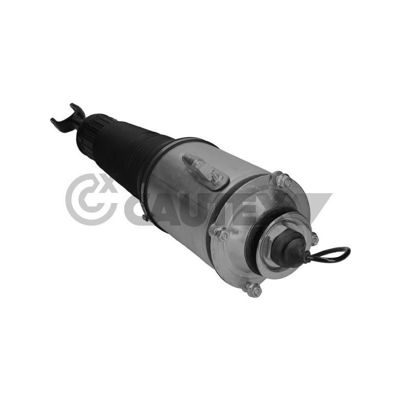 Ammortizzatore asse anteriore - CAUTEX GOMMA E PARTI MOTORE