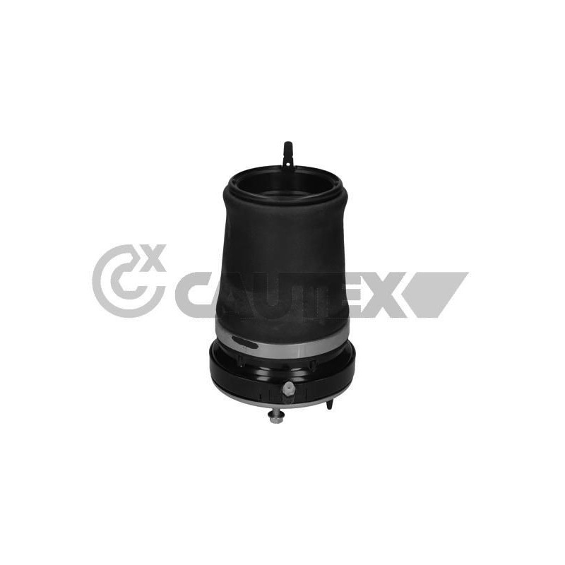 Ammortizzatore asse anteriore - CAUTEX GOMMA E PARTI MOTORE