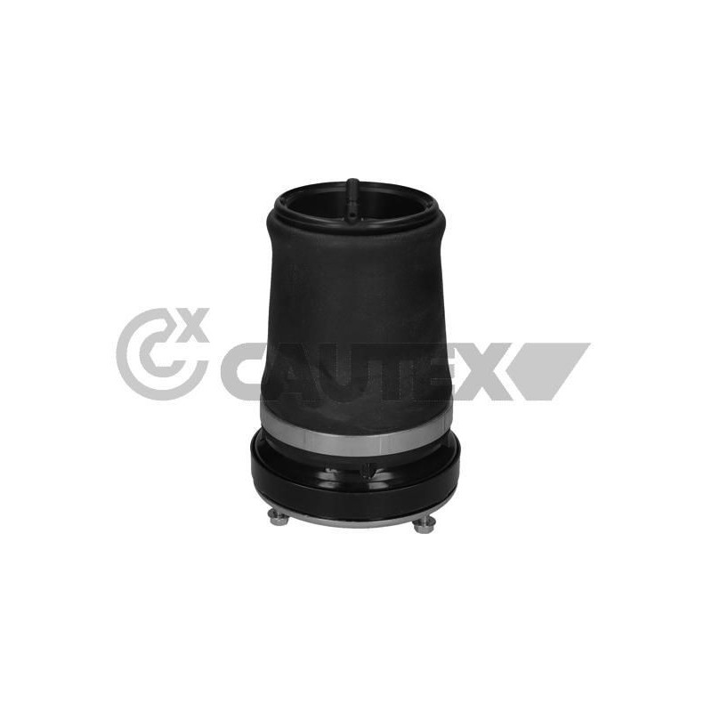 Ammortizzatore asse anteriore - CAUTEX GOMMA E PARTI MOTORE