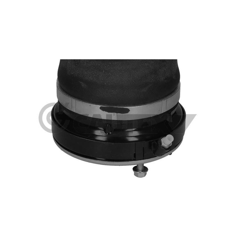 Ammortizzatore asse anteriore - CAUTEX GOMMA E PARTI MOTORE