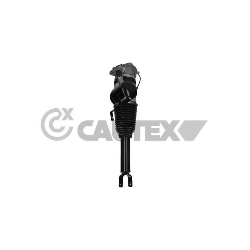 Ammortizzatore asse posteriore - CAUTEX GOMMA E PARTI MOTORE