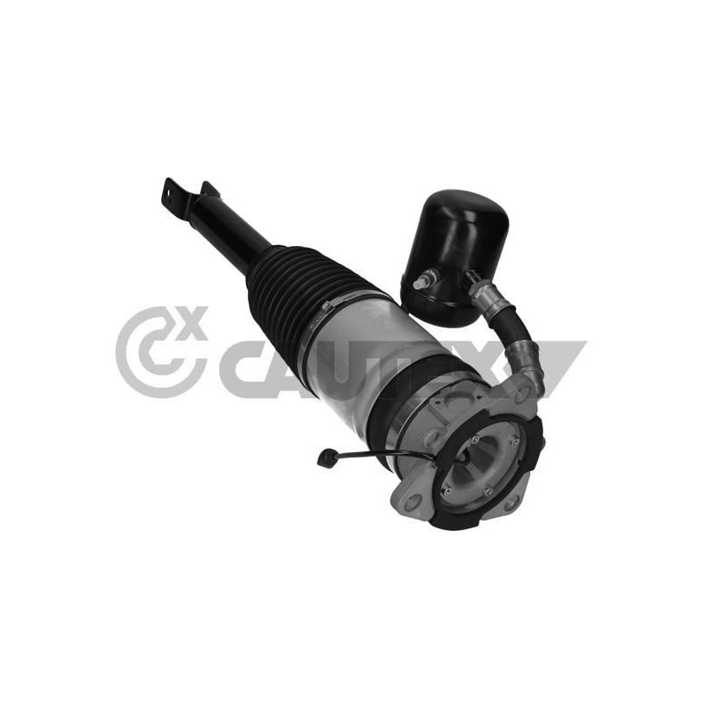 Ammortizzatore asse posteriore - CAUTEX GOMMA E PARTI MOTORE