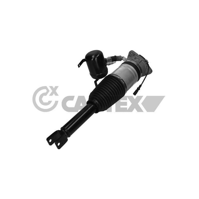 Ammortizzatore asse posteriore - CAUTEX GOMMA E PARTI MOTORE