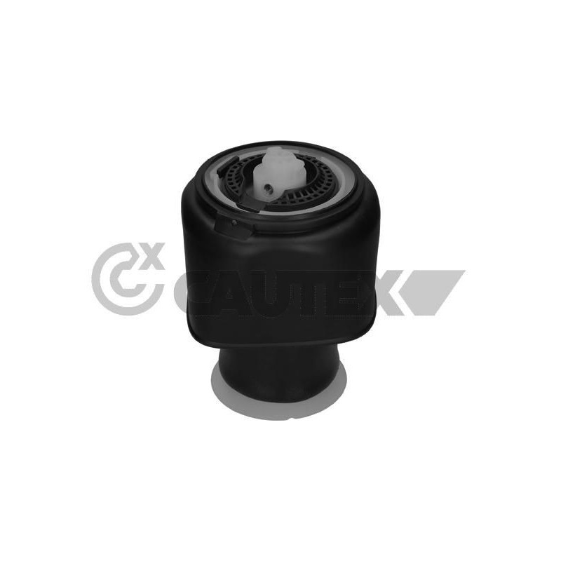 Ammortizzatore asse posteriore - CAUTEX GOMMA E PARTI MOTORE