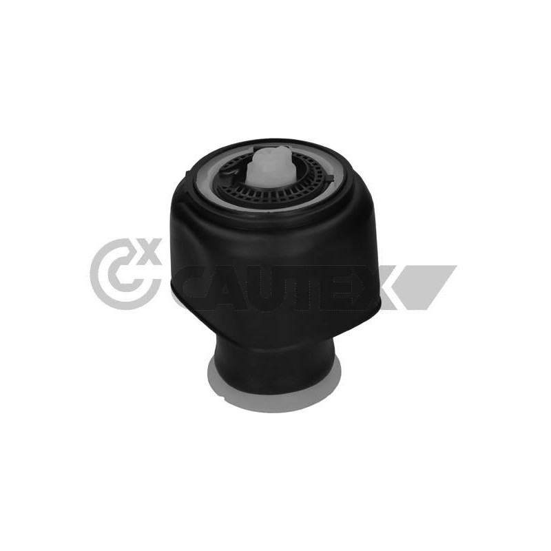 Ammortizzatore asse posteriore - CAUTEX GOMMA E PARTI MOTORE