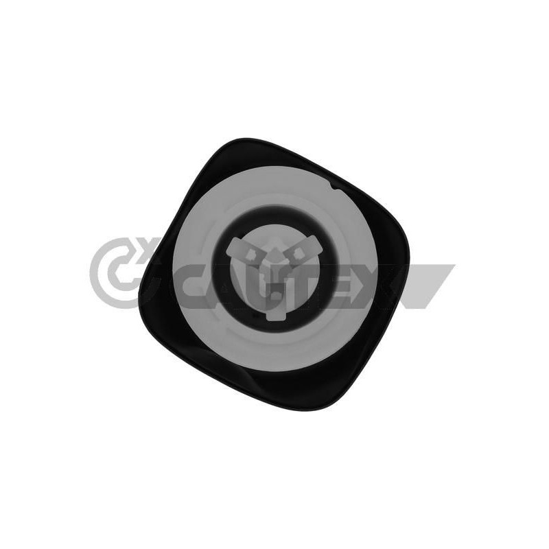 Ammortizzatore asse posteriore - CAUTEX GOMMA E PARTI MOTORE