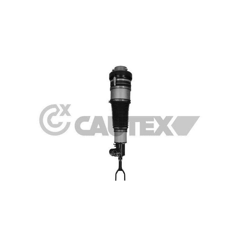 Ammortizzatore asse anteriore - CAUTEX GOMMA E PARTI MOTORE