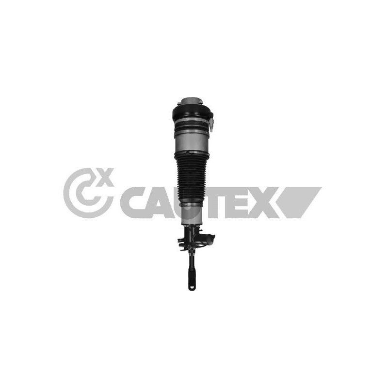 Ammortizzatore asse anteriore - CAUTEX GOMMA E PARTI MOTORE