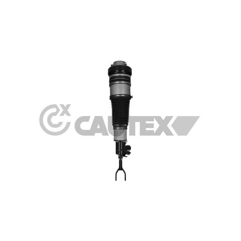 Ammortizzatore asse anteriore - CAUTEX GOMMA E PARTI MOTORE