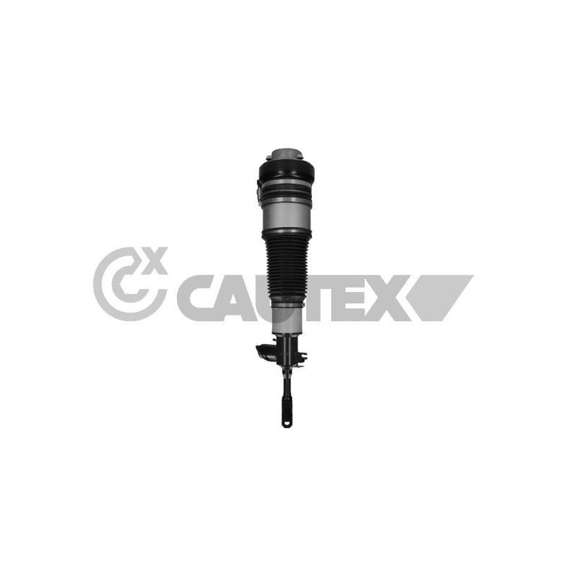 Ammortizzatore asse anteriore - CAUTEX GOMMA E PARTI MOTORE