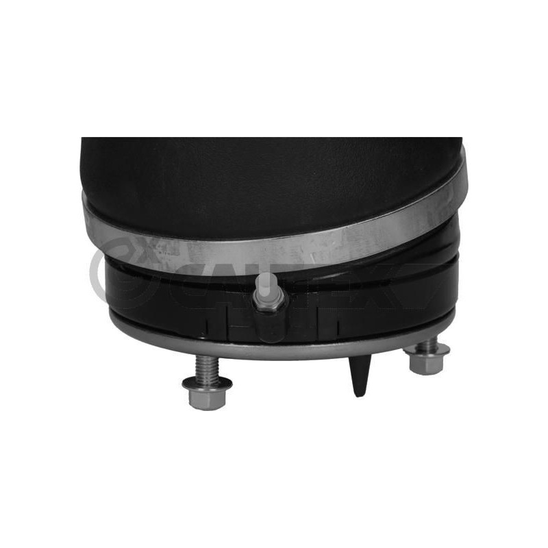 Ammortizzatore asse anteriore - CAUTEX GOMMA E PARTI MOTORE