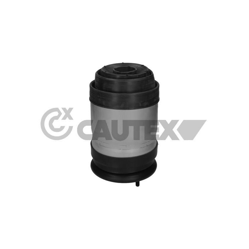 Ammortizzatore asse posteriore - CAUTEX GOMMA E PARTI MOTORE