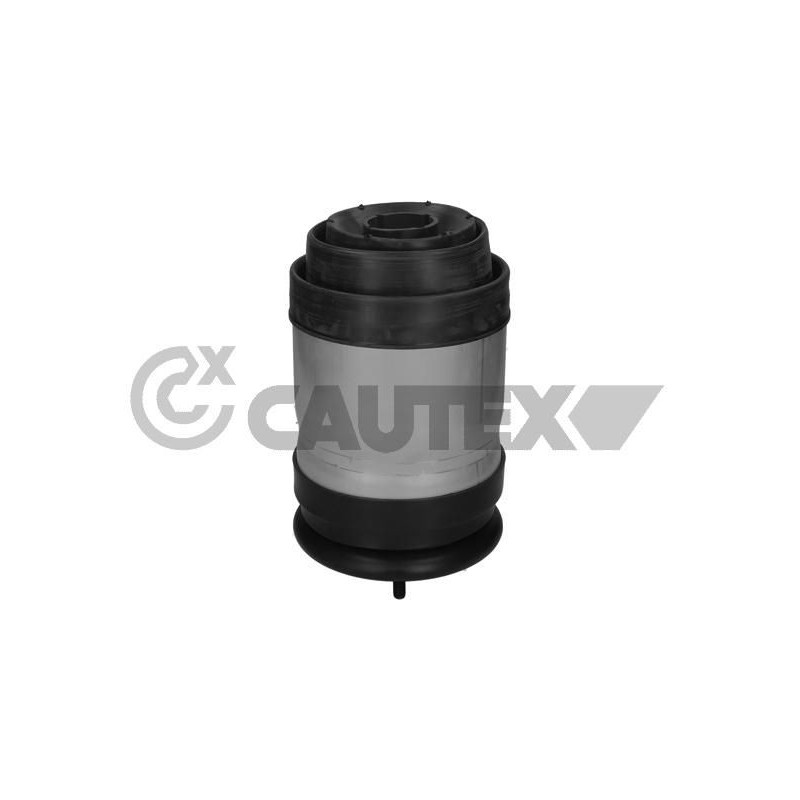 Ammortizzatore asse posteriore - CAUTEX GOMMA E PARTI MOTORE