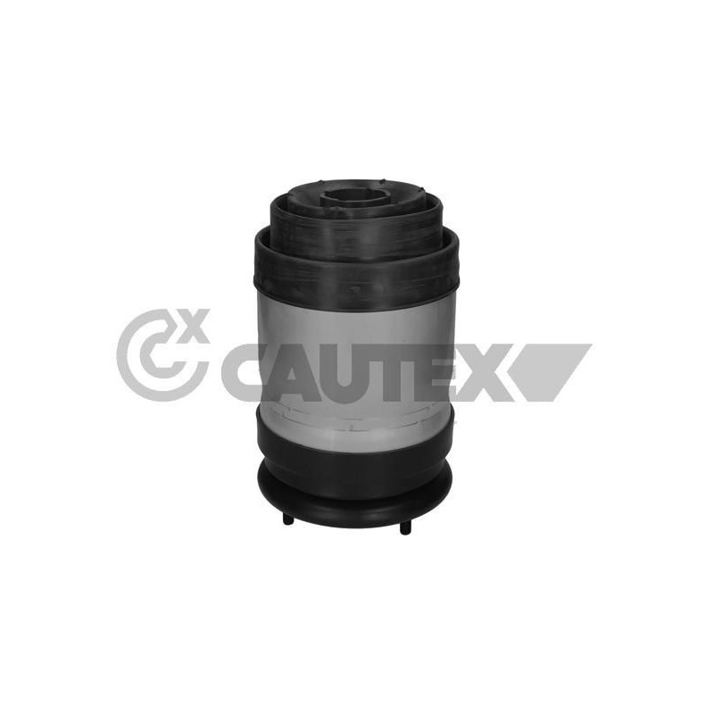 Ammortizzatore asse posteriore - CAUTEX GOMMA E PARTI MOTORE