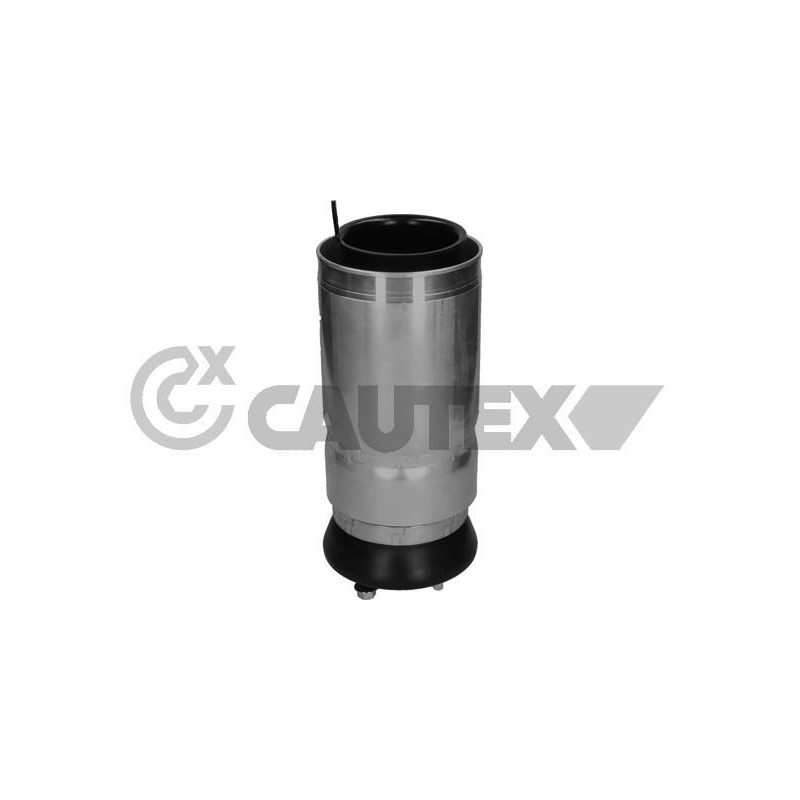 Ammortizzatore asse anteriore - CAUTEX GOMMA E PARTI MOTORE