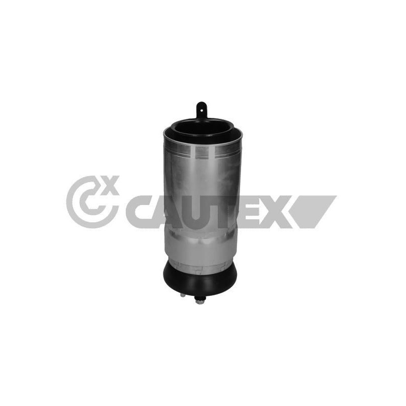 Ammortizzatore asse anteriore - CAUTEX GOMMA E PARTI MOTORE