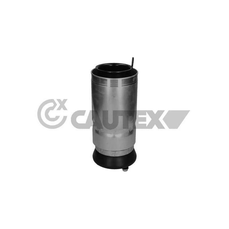 Ammortizzatore asse anteriore - CAUTEX GOMMA E PARTI MOTORE