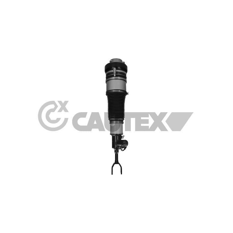 Ammortizzatore asse anteriore - CAUTEX GOMMA E PARTI MOTORE